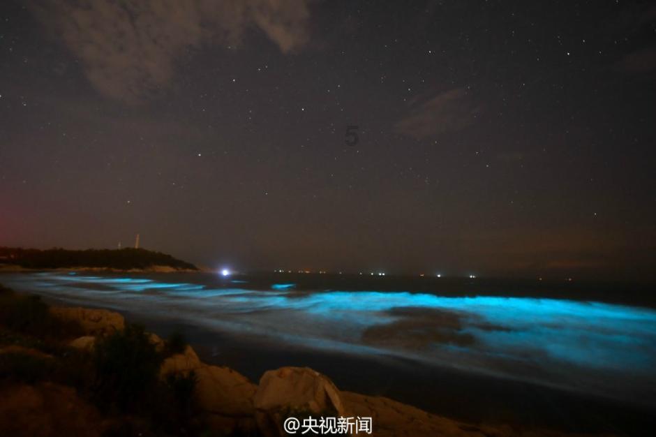 蜗牛寻新房7