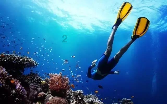 《旧闻参考》这样的报纸网上哪里有下载或可以看到的地方？游戏画面