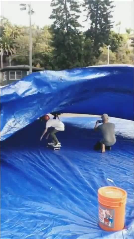 喜迎龙年的到来