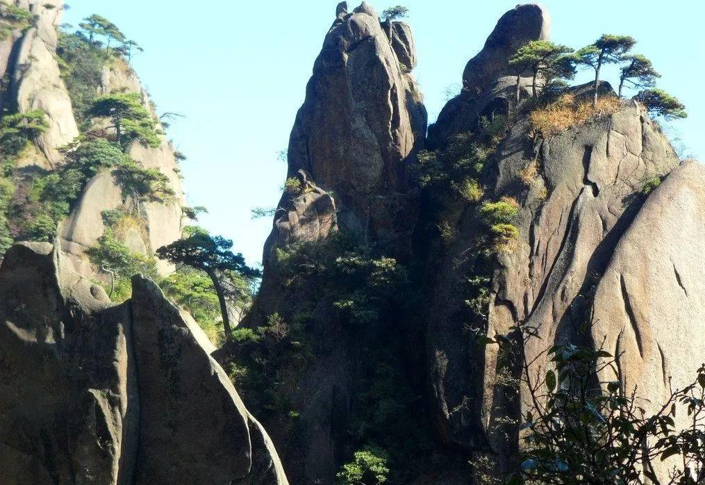 泡沫森林