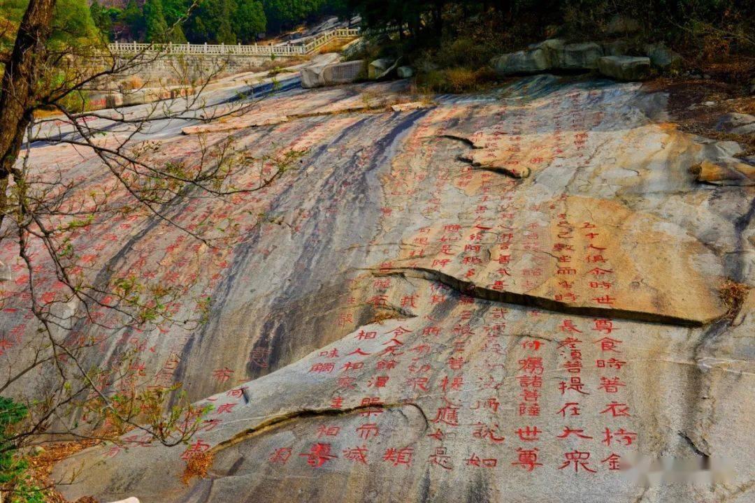 救援卡通熊仔